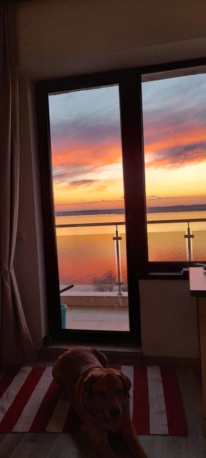 Bella Vista Summerland Mamaia Extérieur photo